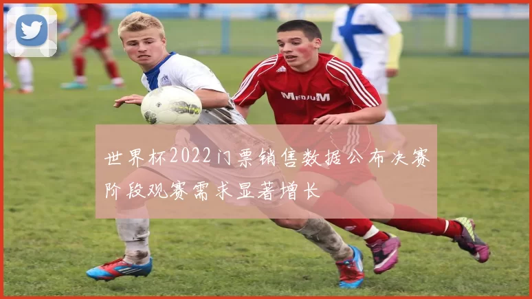 世界杯2022门票销售数据公布决赛阶段观赛需求显著增长