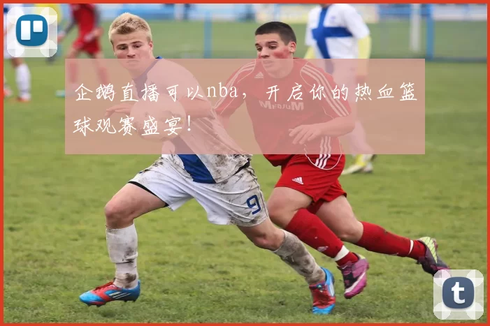 企鹅直播可以nba，开启你的热血篮球观赛盛宴！