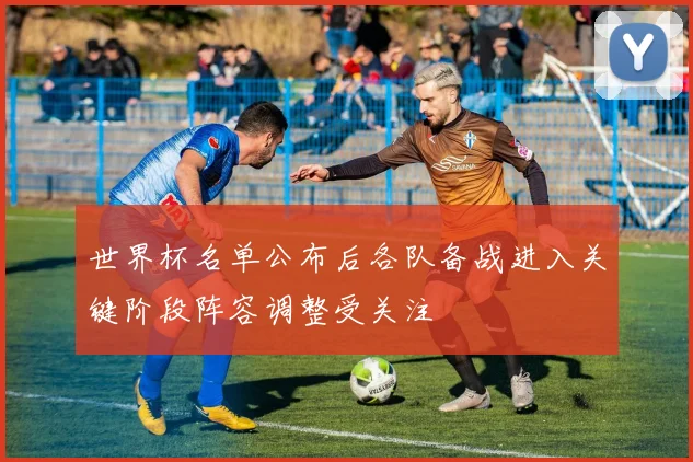 世界杯名单公布后各队备战进入关键阶段阵容调整受关注